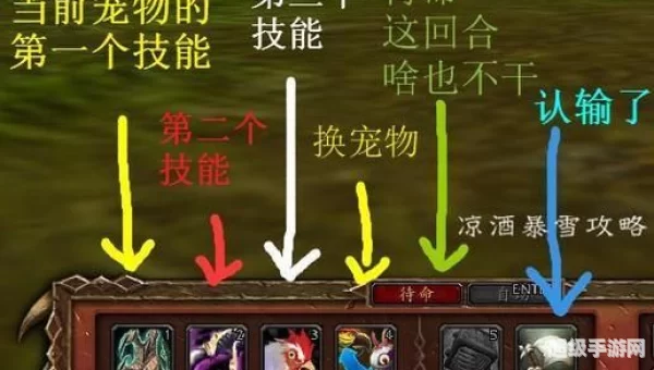 wow宠物对战攻略