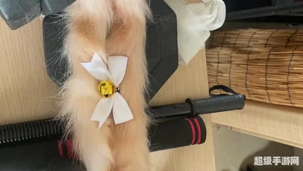 九命猫