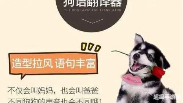 狗语言翻译器