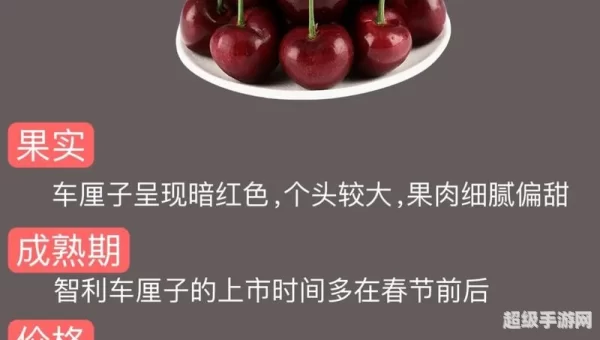 车厘子和樱桃是什么关系蚂蚁庄园