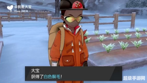 冠之雪原