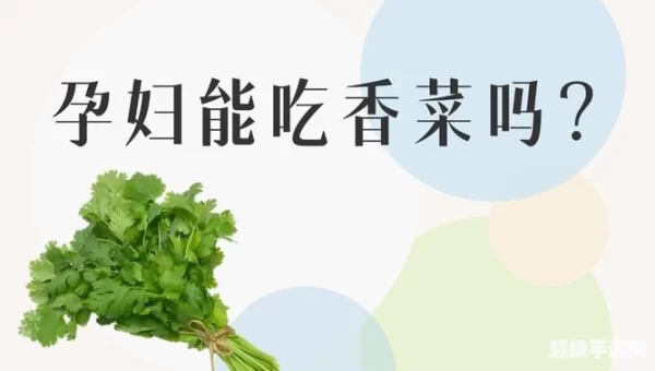 香菜和柠檬哪个维生素C含量高