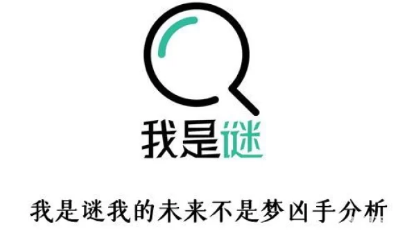 我是谜
