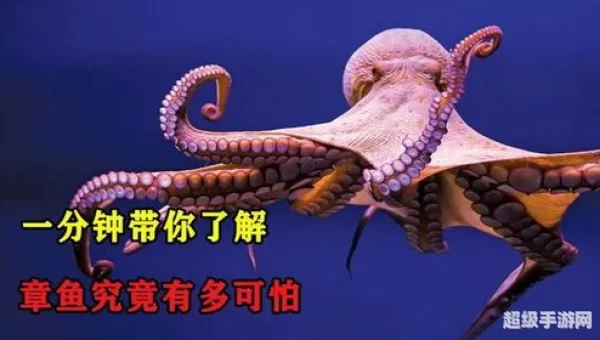 海洋动物拥有10只触手