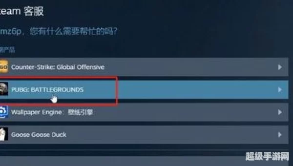 pubg账号