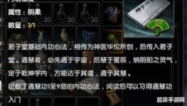九阴真经2内